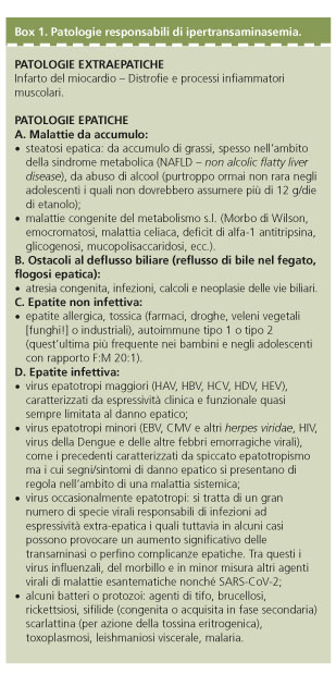 Epatite virale e ipertransaminasemia  Area Pediatrica - Rivista ufficiale  di formazione continua della Società Italiana di Pediatria